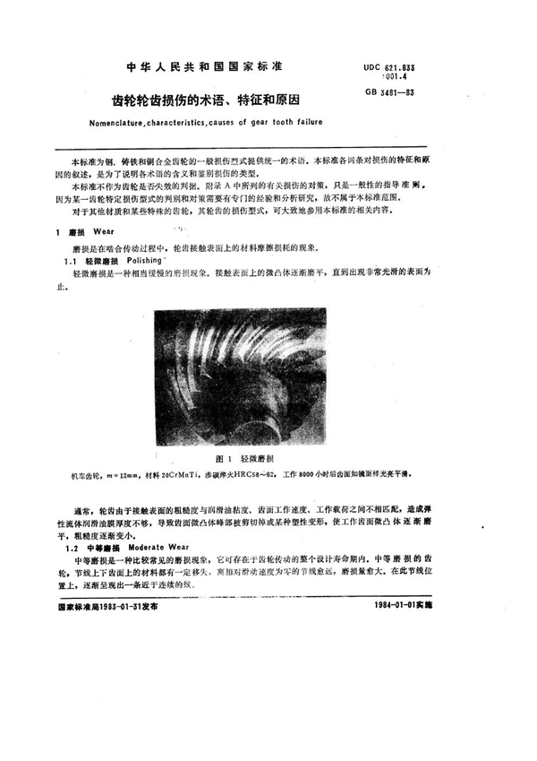 GB 3481-1983 齿轮轮齿损伤的术语、特征和原因