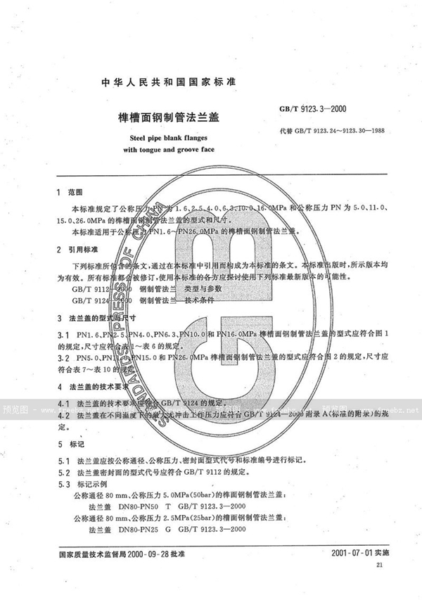 GB/T 9123.3-2000 榫槽面钢制管法兰盖
