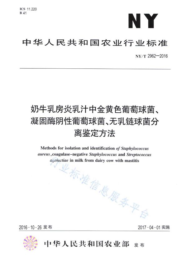 NY/T 2962-2016 奶牛乳房炎乳汁中金黄色葡萄球菌、凝固酶阴性葡萄球菌、无乳链球菌分离鉴定方法