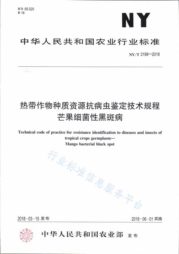 NY/T 3198-2018 热带作物种质资源抗病虫鉴定技术规程 芒果细菌性黑斑病