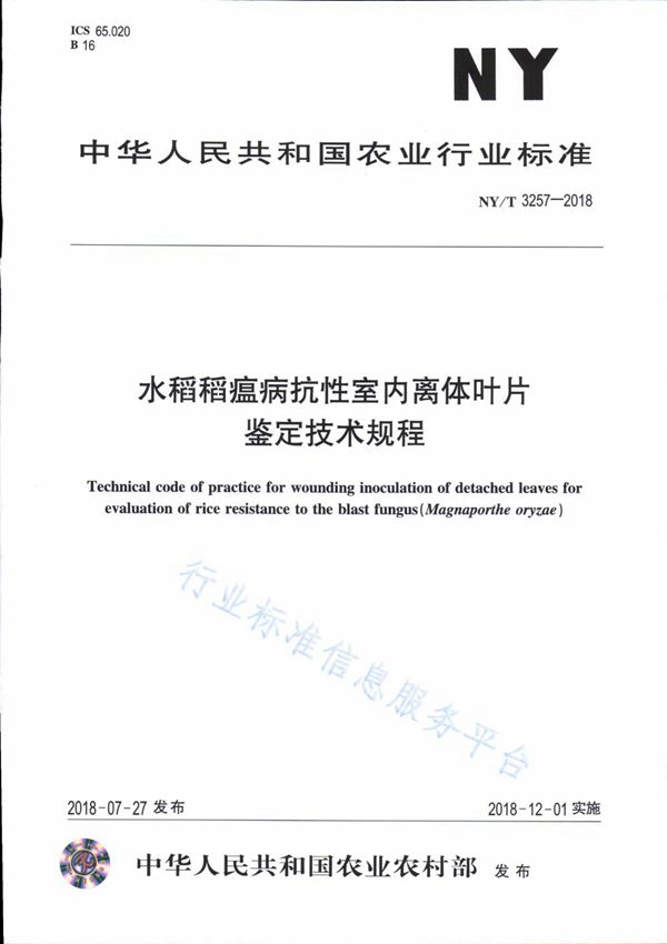 NY/T 3257-2018 水稻稻瘟病抗性室内离体叶片鉴定技术规程