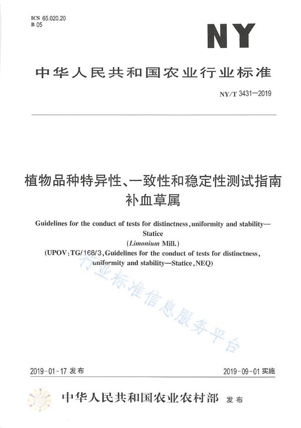NY/T 3431-2019 植物品种特异性、一致性和稳定性测试指南 补血草属