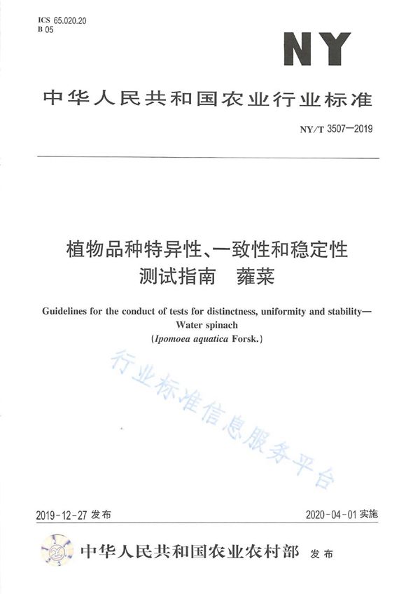 NY/T 3507-2019 植物品种特异性、一致性和稳定性 测试指南  蕹菜