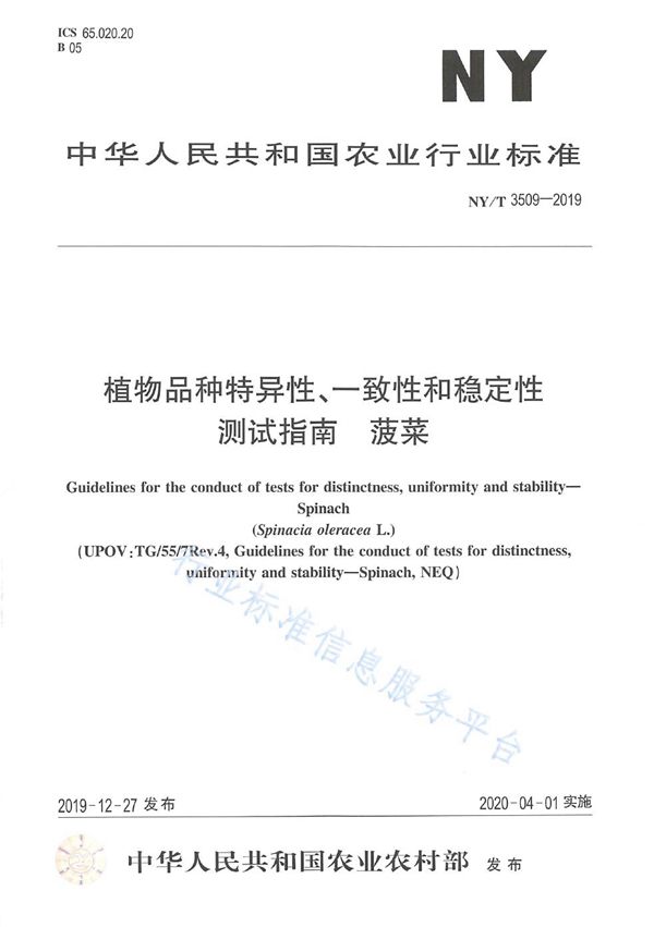 NY/T 3509-2019 植物品种特异性、一致性和稳定性 测试指南  菠菜