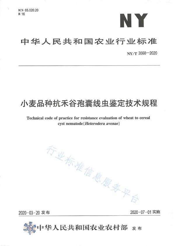 NY/T 3568-2020 小麦品种抗河谷孢囊线虫鉴定技术规程