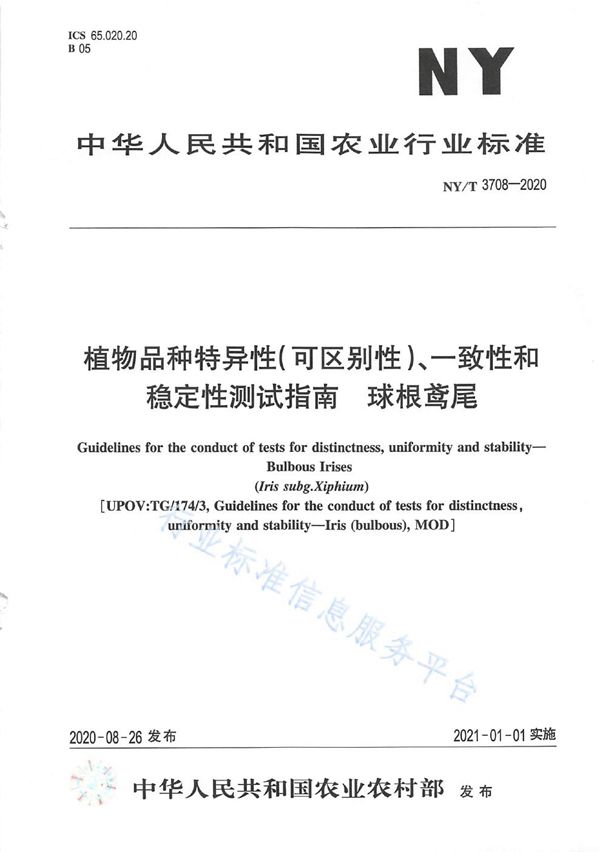 NY/T 3708-2020 植物品种特异性（可区别性）、一致性和稳定性测试指南球根鸢尾