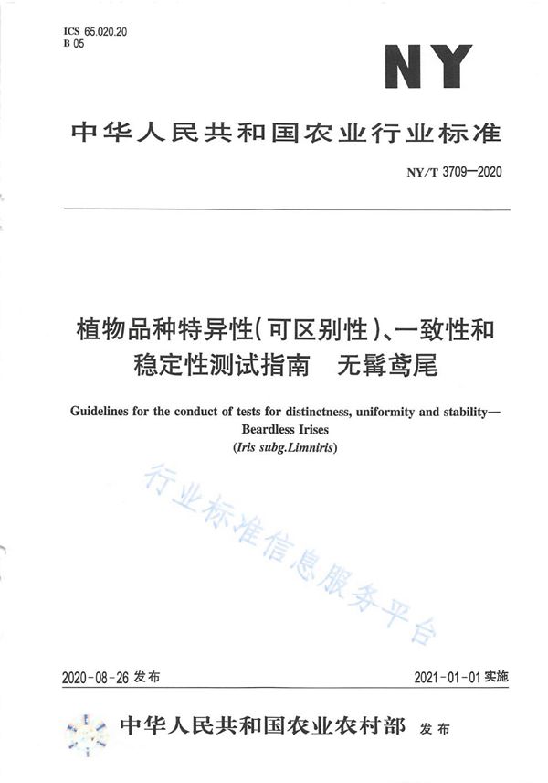 NY/T 3709-2020 植物品种特异性（可区别性）、一致性和稳定性测试指南无髯鸢尾