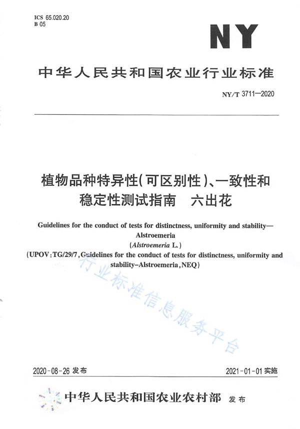 NY/T 3711-2020 植物品种特异性（可区别性）、一致性和稳定性测试指南六出花