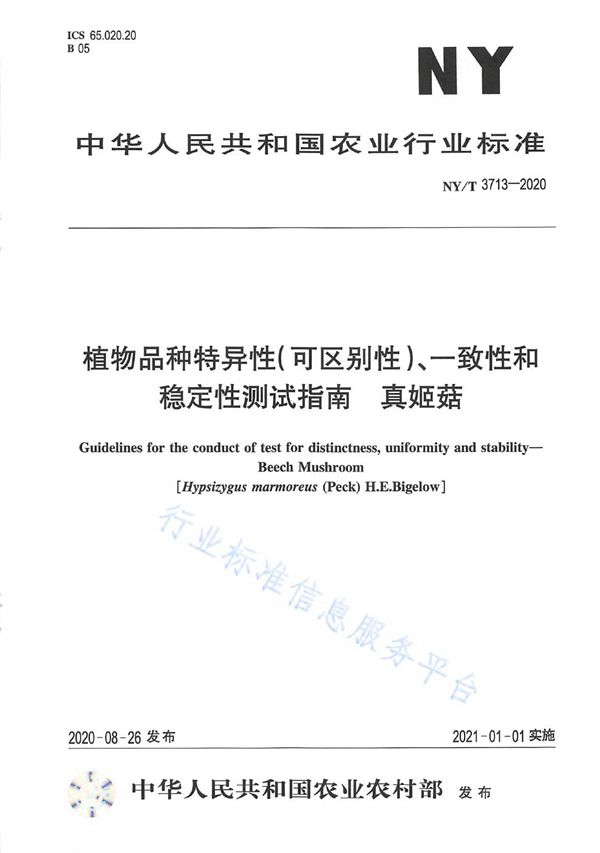 NY/T 3713-2020 植物品种特异性（可区别性）、一致性和稳定性测试指南真姬菇