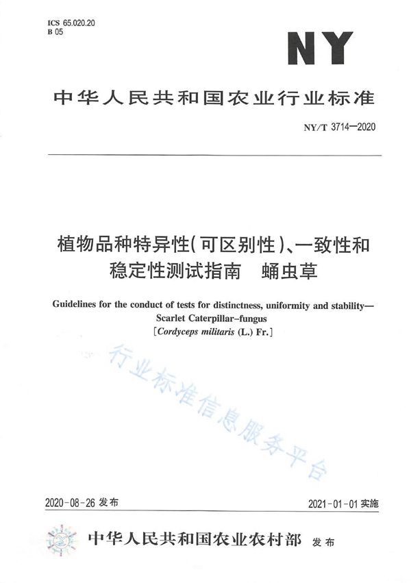 NY/T 3714-2020 植物品种特异性（可区别性）、一致性和稳定性测试指南蛹虫草