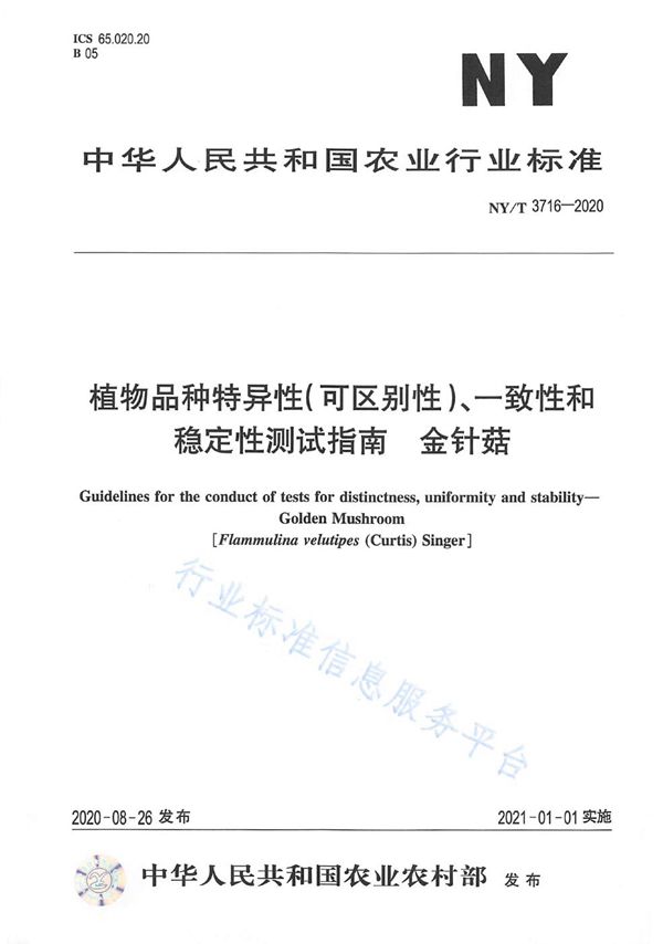 NY/T 3716-2020 植物品种特异性（可区别性）、一致性和稳定性测试指南金针菇