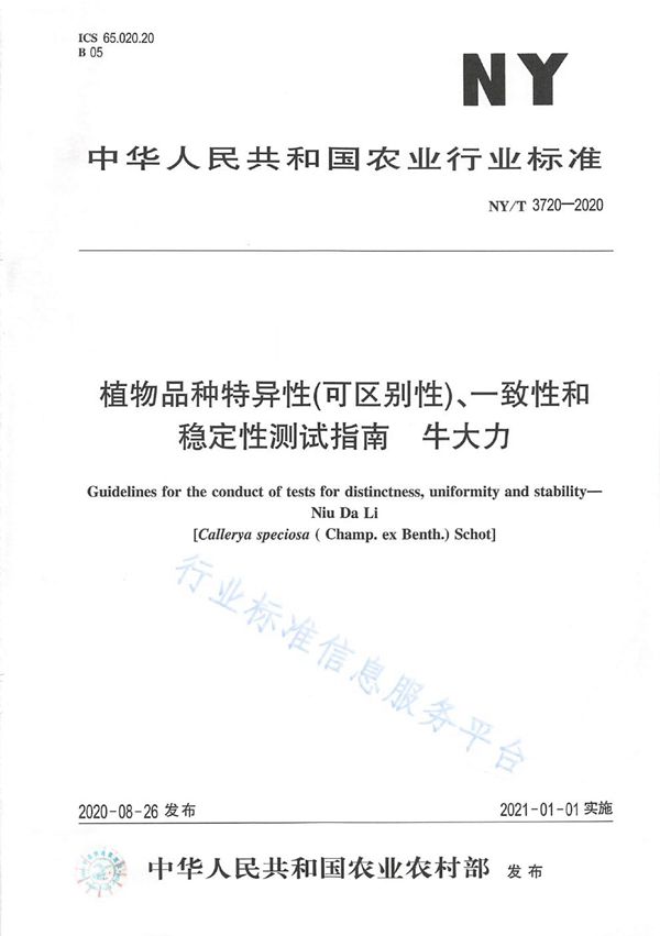 NY/T 3720-2020 植物品种特异性（可区别性）、一致性和稳定性测试指南牛大力