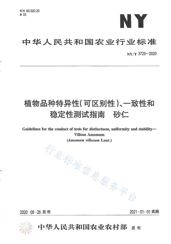 NY/T 3725-2020 植物品种特异性（可区别性）、一致性和稳定性测试指南砂仁