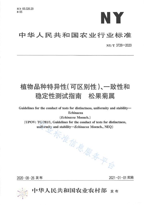 NY/T 3726-2020 植物品种特异性（可区别性）、一致性和稳定性测试指南松果菊属