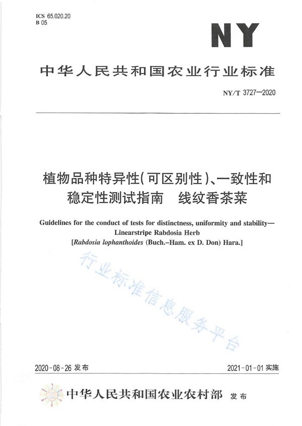 NY/T 3727-2020 植物品种特异性（可区别性）、一致性和稳定性测试指南线纹香茶菜