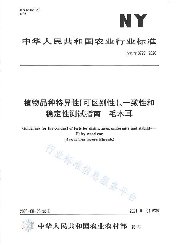 NY/T 3729-2020 植物品种特异性（可区别性）、一致性和稳定性测试指南毛木耳