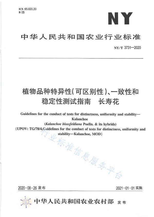 NY/T 3731-2020 植物品种特异性（可区别性）、一致性和稳定性测试指南长寿花