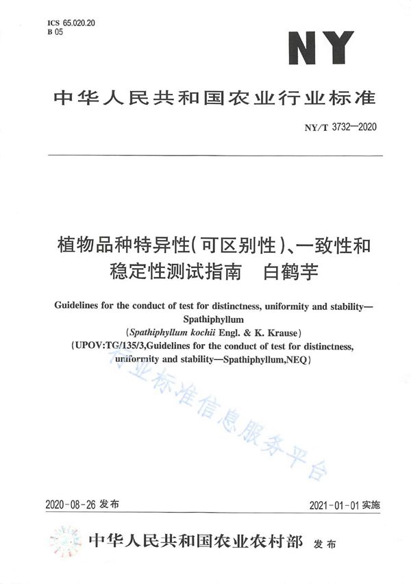 NY/T 3732-2020 植物品种特异性（可区别性）、一致性和稳定性测试指南白鹤芋