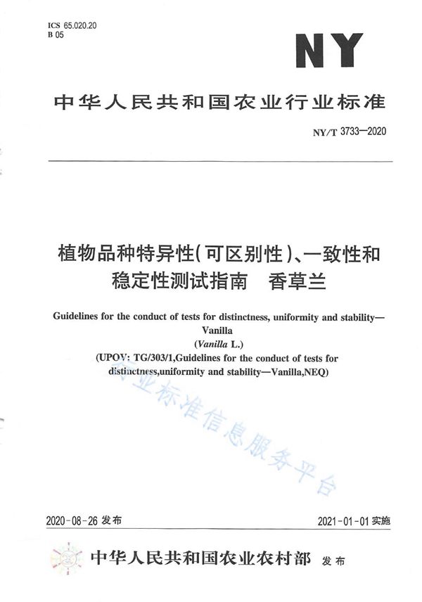 NY/T 3733-2020 植物品种特异性（可区别性）、一致性和稳定性测试指南香草兰