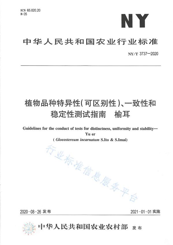 NY/T 3737-2020 植物品种特异性（可区别性）、一致性和稳定性测试指南榆耳