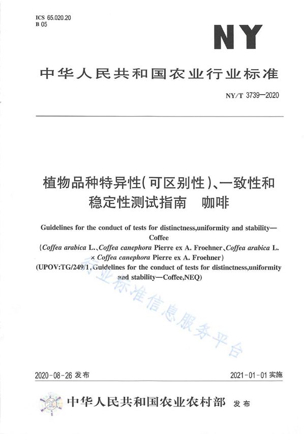 NY/T 3739-2020 植物品种特异性（可区别性）、一致性和稳定性测试指南咖啡