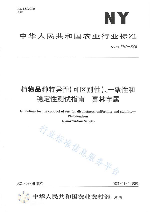 NY/T 3740-2020 植物品种特异性（可区别性）、一致性和稳定性测试指南喜林芋属