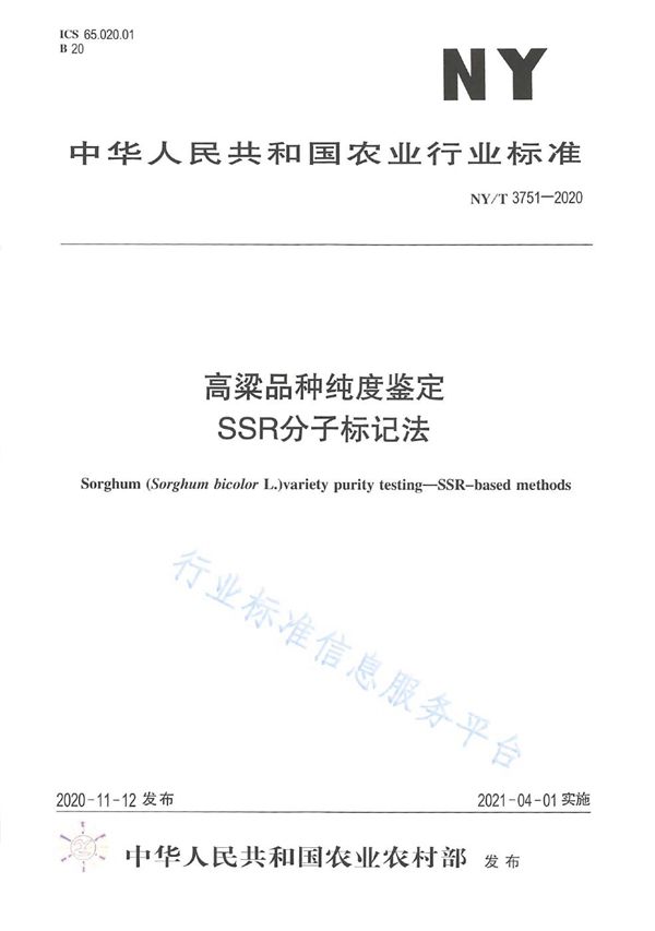 NY/T 3751-2020 高粱品种纯度鉴定 SSR分子标记法