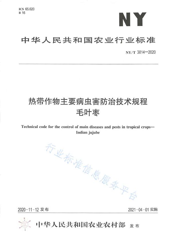 NY/T 3814-2020 热带作物主要病虫害防治技术规程 毛叶枣