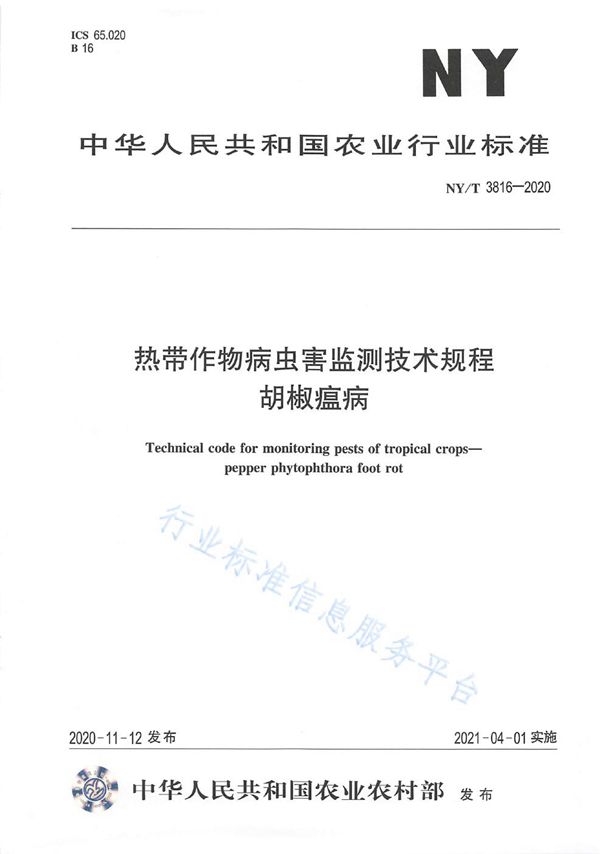 NY/T 3816-2020 热带作物病虫害监测技术规程 胡椒瘟病