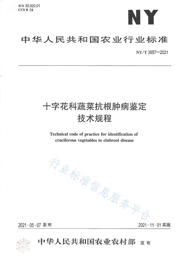 NY/T 3857-2021 十字花科蔬菜抗根肿病鉴定技术规程