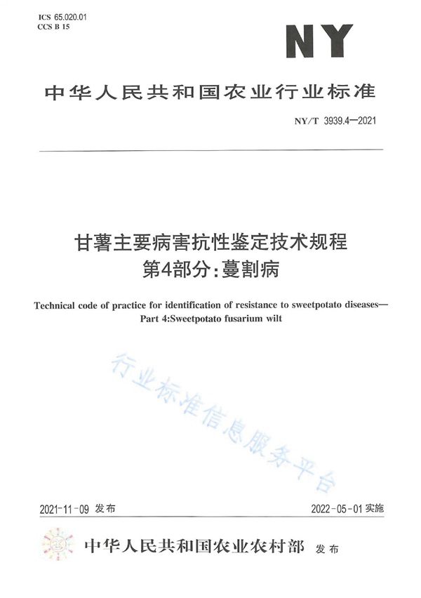 NY/T 3939.4-2021 甘薯主要病害抗性鉴定技术规程 第4部分：蔓割病