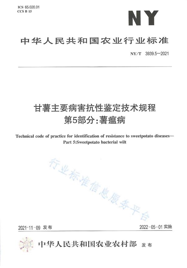 NY/T 3939.5-2021 甘薯主要病害抗性鉴定技术规程 第5部分：薯瘟病