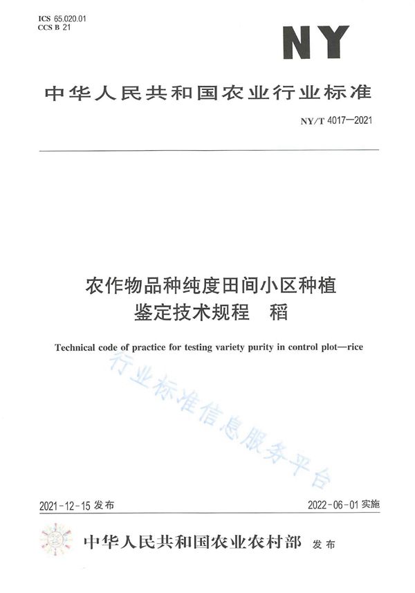 NY/T 4017-2021 农作物品种纯度田间小区种植鉴定技术规程 稻