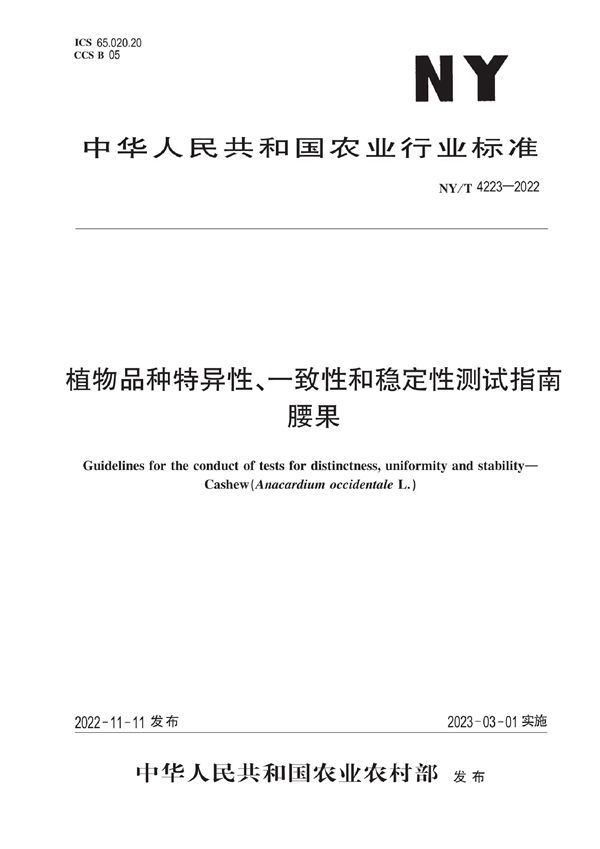 NY/T 4223-2022 植物品种特异性、一致性和稳定性测试指南 腰果