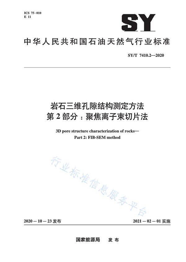 SY/T 7410.2-2020 岩石三维孔隙结构测定方法  第2部分：聚焦离子束切片法