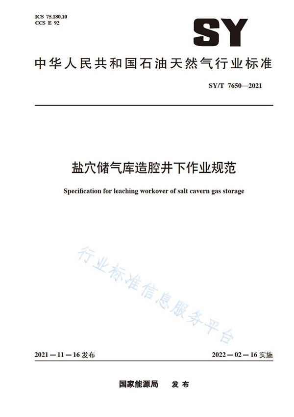 SY/T 7650-2021 盐穴储气库造腔井下作业规范