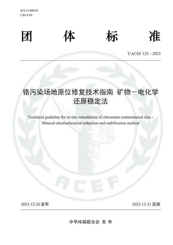 T/ACEF 125-2023 铬污染场地原位修复技术指南 矿物－电化学还原稳定法