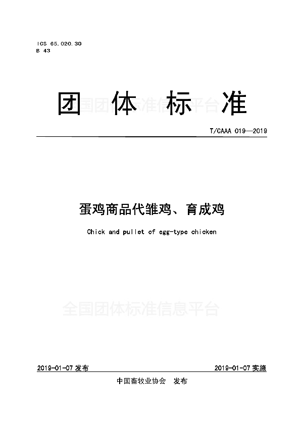 T/CAAA 019-2019 蛋鸡商品代雏鸡、育成鸡