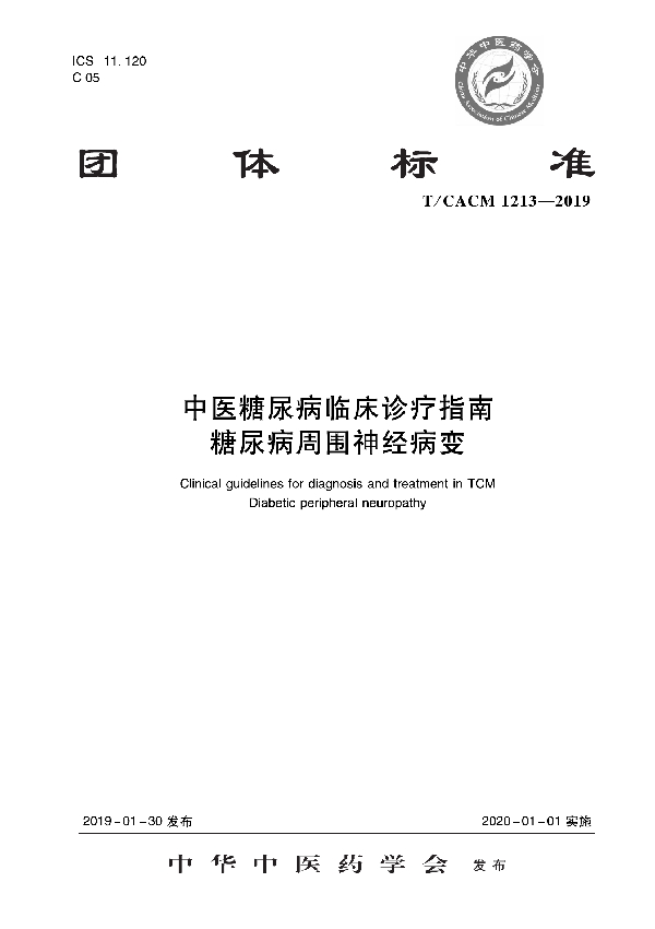 T/CACM 1213-2019 中医糖尿病科临床诊疗指南 糖尿病周围神经病变