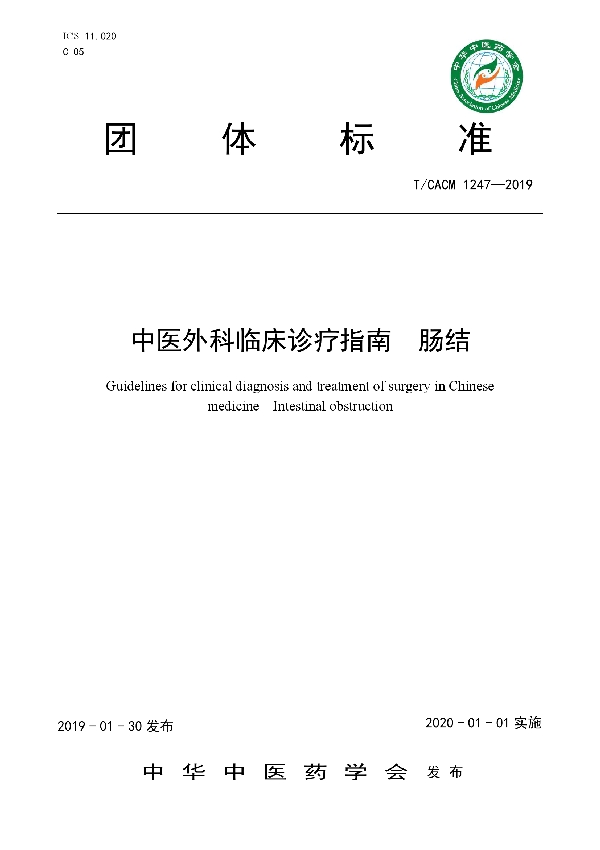 T/CACM 1247-2019 中医外科临床诊疗指南  肠结