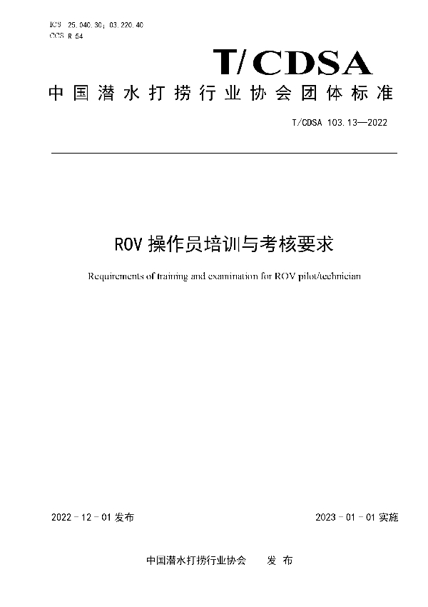 T/CDSA 103.13-2022 ROV 操作员培训与考核要求