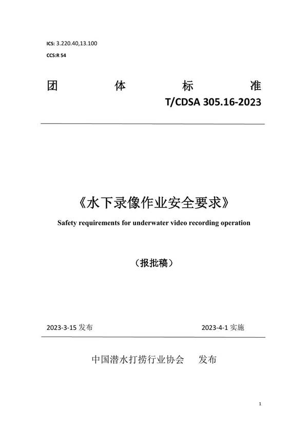 T/CDSA 305.16-2023 水下录像作业安全要求