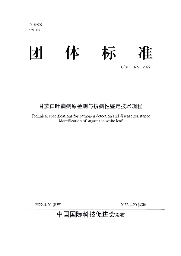 T/CI 026-2022 甘蔗白叶病病原检测与抗病性鉴定技术规程