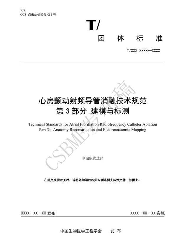 T/CSBME 080.3-2024 心房颤动射频导管消融技术规范 第3部分 建模与标测