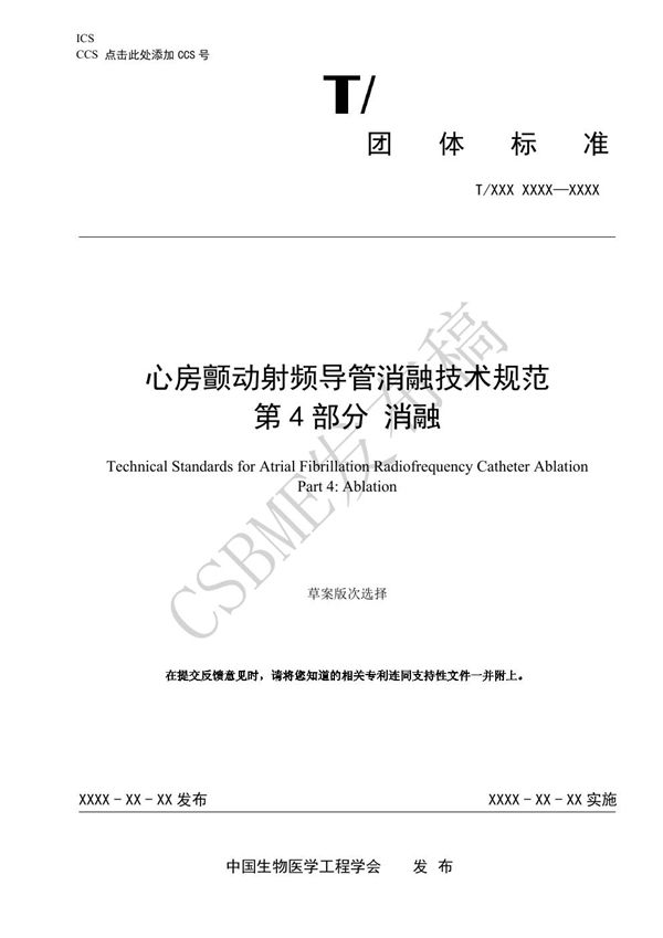 T/CSBME 080.4-2024 心房颤动射频导管消融技术规范 第4部分 消融