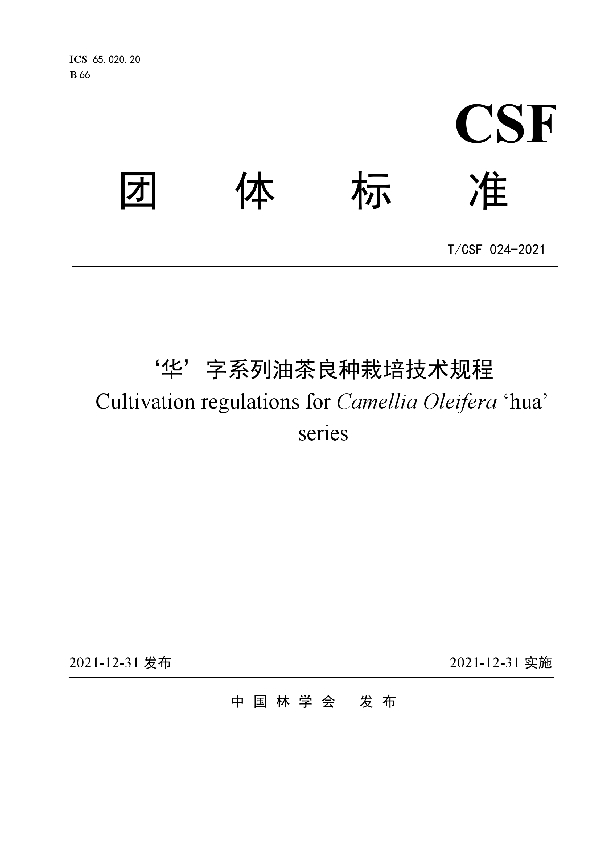 T/CSF 024-2021 ‘华’字系列油茶良种栽培技术规程