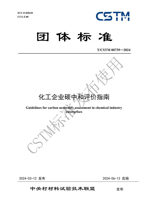 T/CSTM 00739-2024 化工企业碳中和评价指南