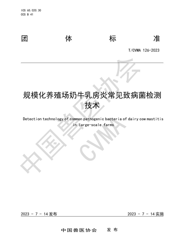 T/CVMA 126-2023 规模化养殖场奶牛乳房炎常见致病菌检测技术