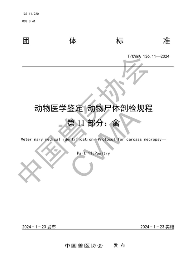 T/CVMA 136.11-2024 动物医学鉴定 动物尸体剖检规程 第 11 部分：禽