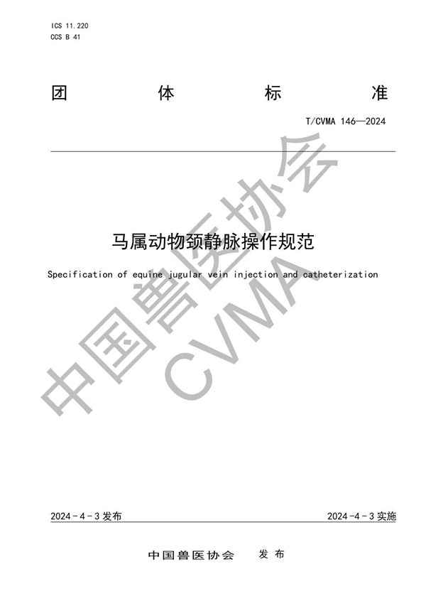 T/CVMA 146-2024 马属动物颈静脉操作规范